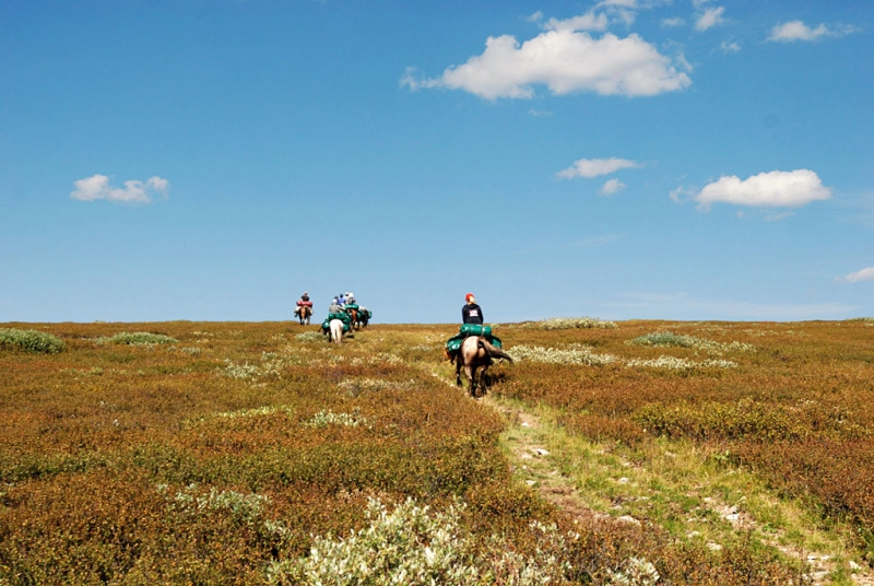 Конный поход по Горному Алтаю 2017 г