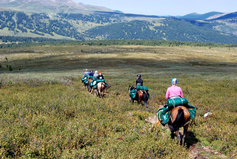 Конный поход по Горному Алтаю 2017 г