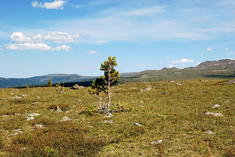 Конный поход по Горному Алтаю 2017 г