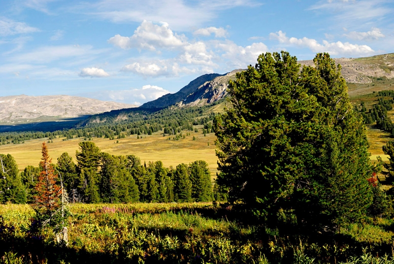 Конный поход по Горному Алтаю 2017 г