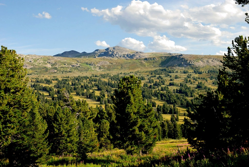 Конный поход по Горному Алтаю 2017 г