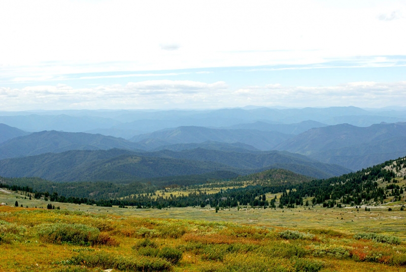 Конный поход по Горному Алтаю 2017 г
