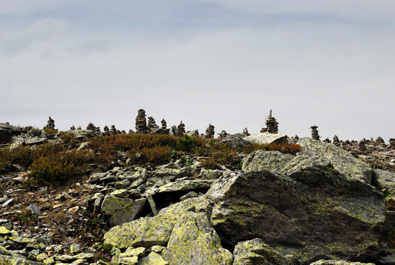 Конный поход по Горному Алтаю 2017 г