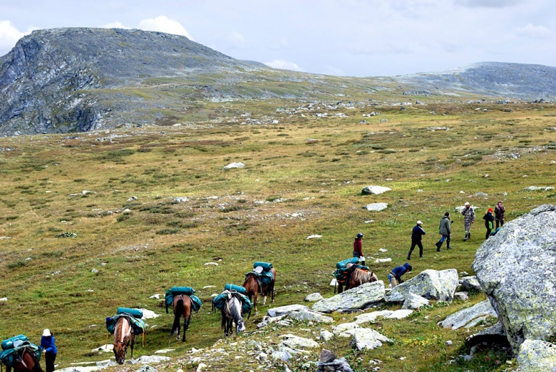 Конный поход по Горному Алтаю 2017 г