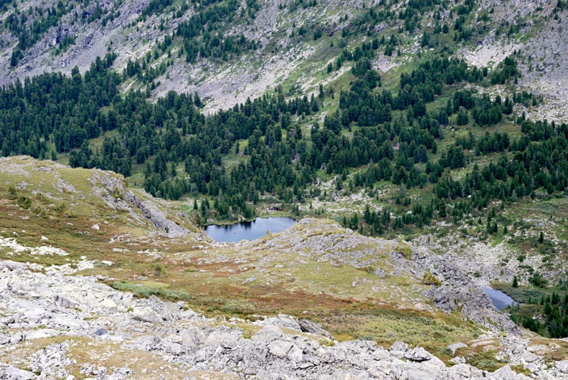 Конный поход по Горному Алтаю 2017 г