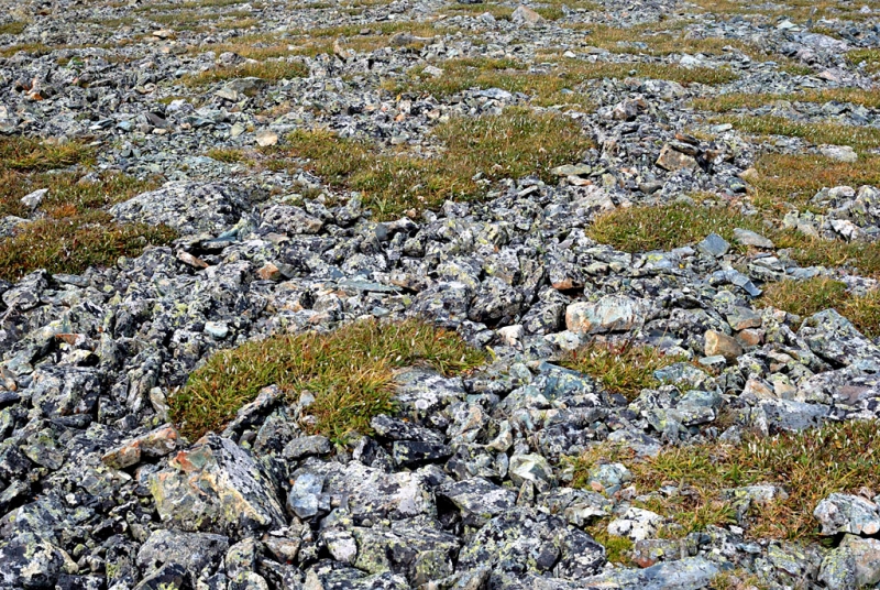 Конный поход по Горному Алтаю 2017 г