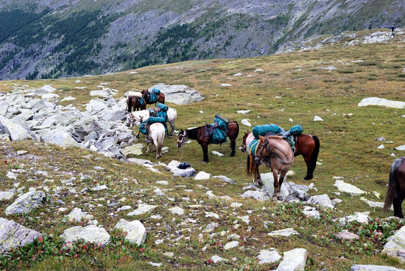 Конный поход по Горному Алтаю 2017 г