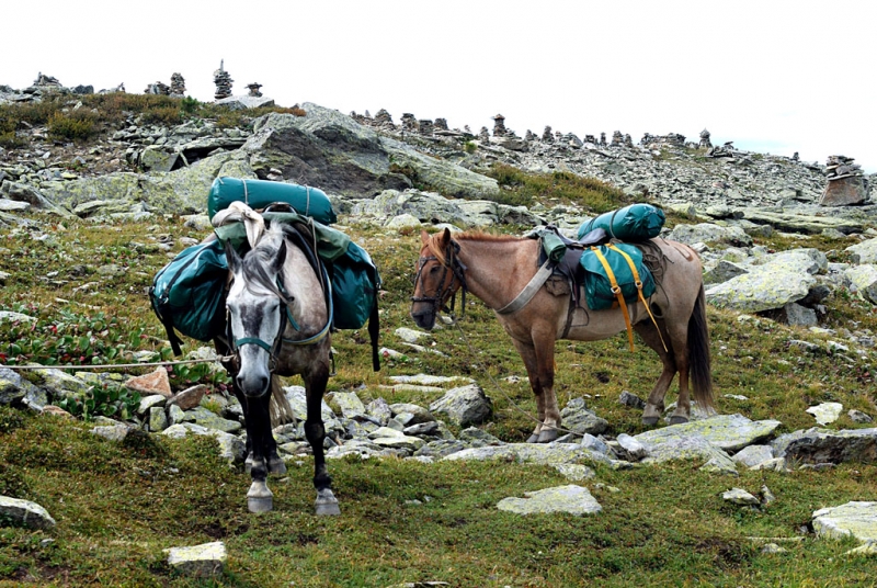 Конный поход по Горному Алтаю 2017 г
