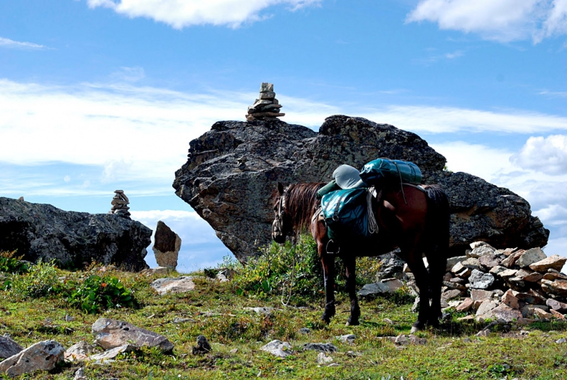 Конный поход по Горному Алтаю 2017 г