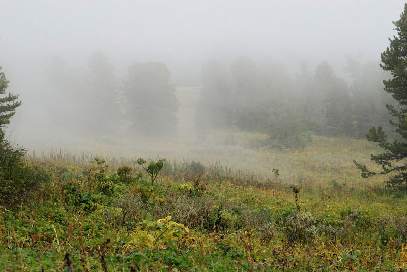 Конный поход по Горному Алтаю 2017 г