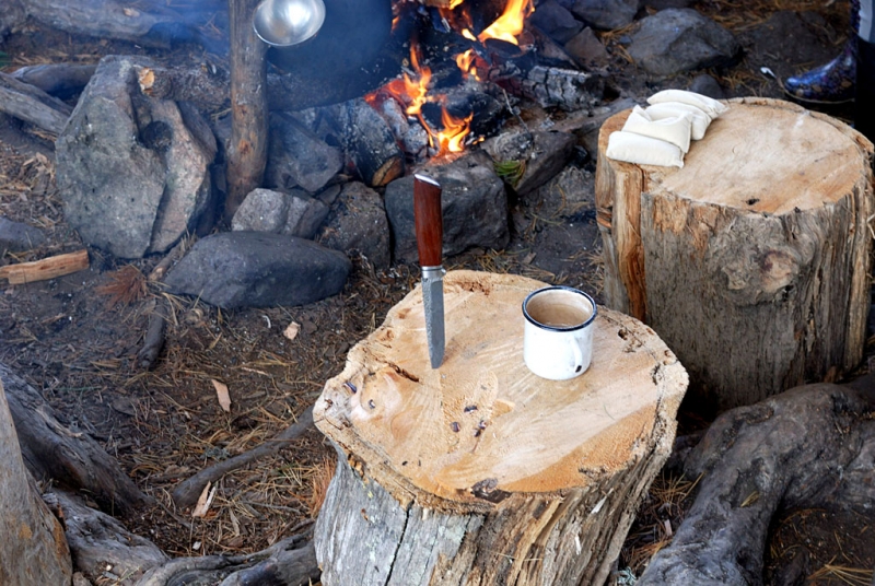 Конный поход по Горному Алтаю 2017 г