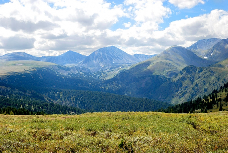 Конный поход по Горному Алтаю 2017 г