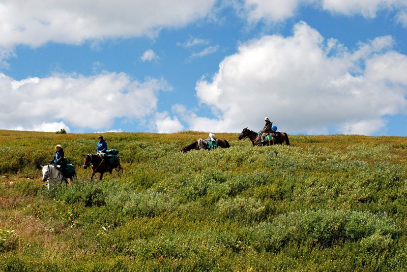 Конный поход по Горному Алтаю 2017 г