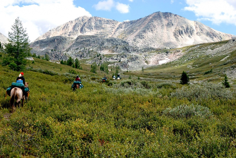 Конный поход по Горному Алтаю 2017 г