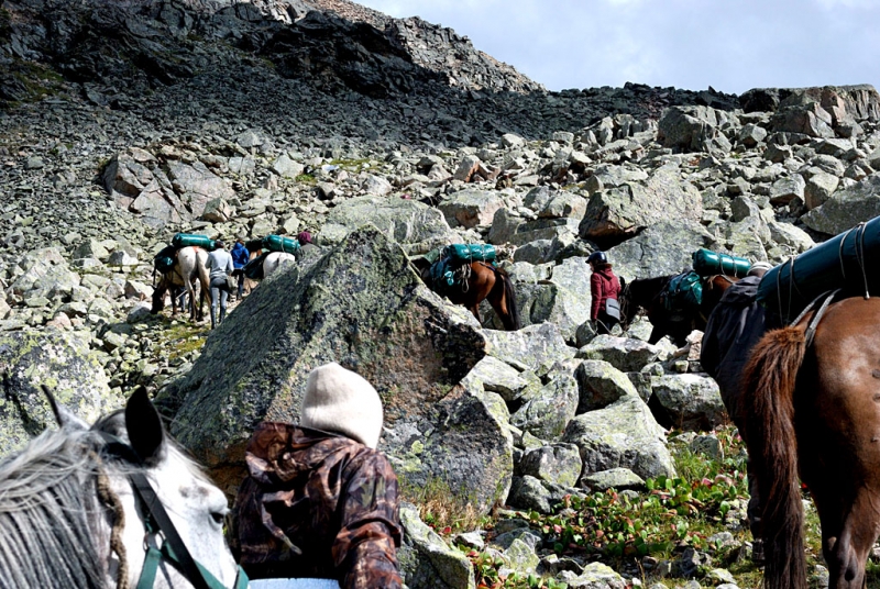 Конный поход по Горному Алтаю 2017 г