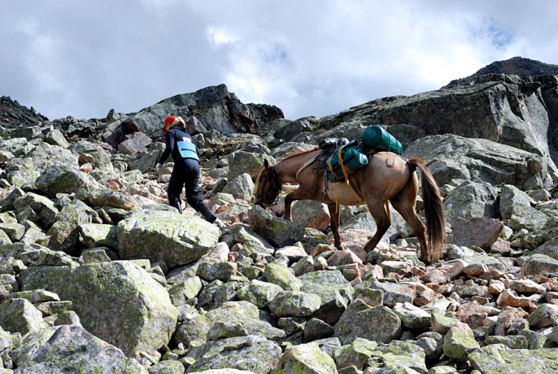 Конный поход по Горному Алтаю 2017 г
