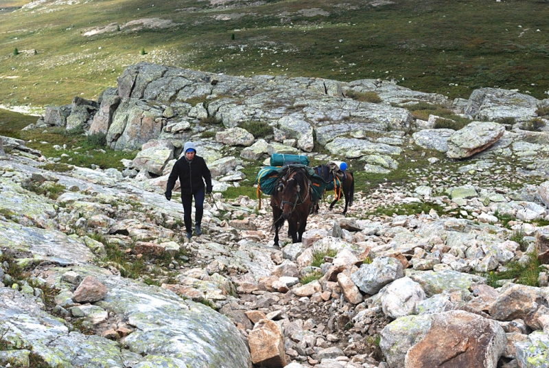 Конный поход по Горному Алтаю 2017 г