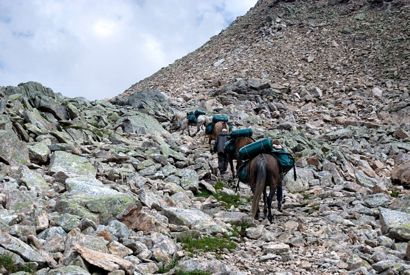 Конный поход по Горному Алтаю 2017 г