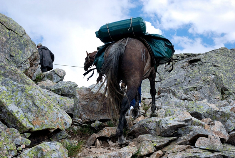 Конный поход по Горному Алтаю 2017 г