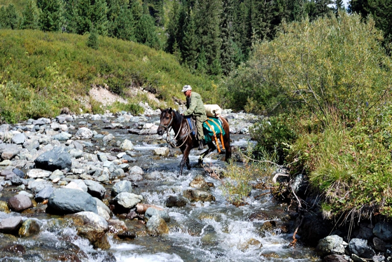 Конный поход по Горному Алтаю 2017 г