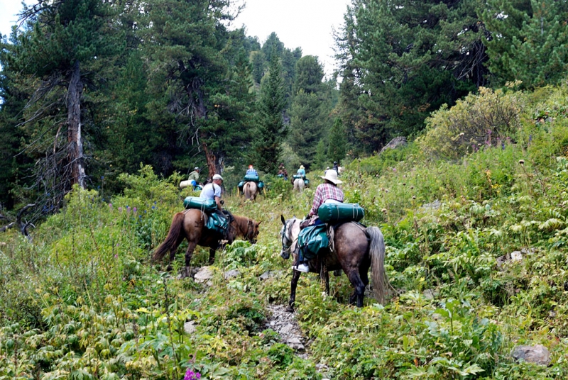 Конный поход по Горному Алтаю 2017 г
