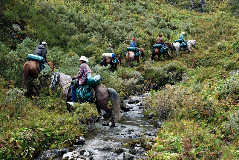 Конный поход по Горному Алтаю 2017 г