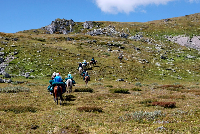 Конный поход по Горному Алтаю 2017 г
