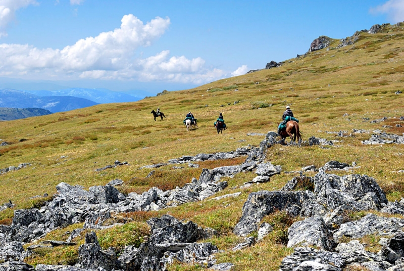 Конный поход по Горному Алтаю 2017 г
