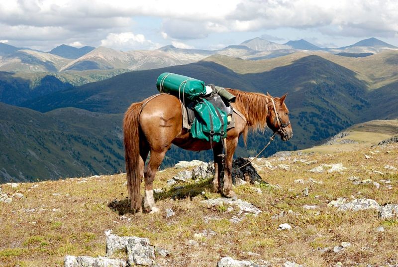 Конный поход по Горному Алтаю 2017 г