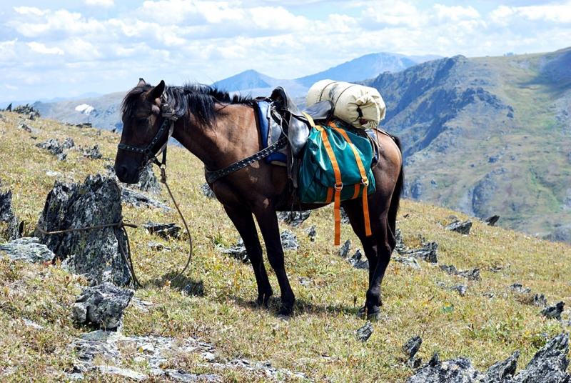 Конный поход по Горному Алтаю 2017 г