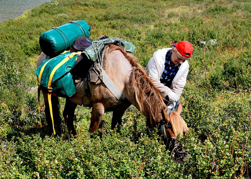 Конный поход по Горному Алтаю 2017 г