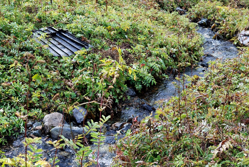Конный поход по Горному Алтаю 2017 г