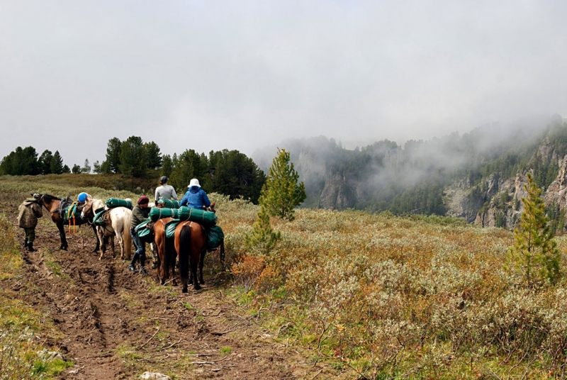 Конный поход по Горному Алтаю 2017 г