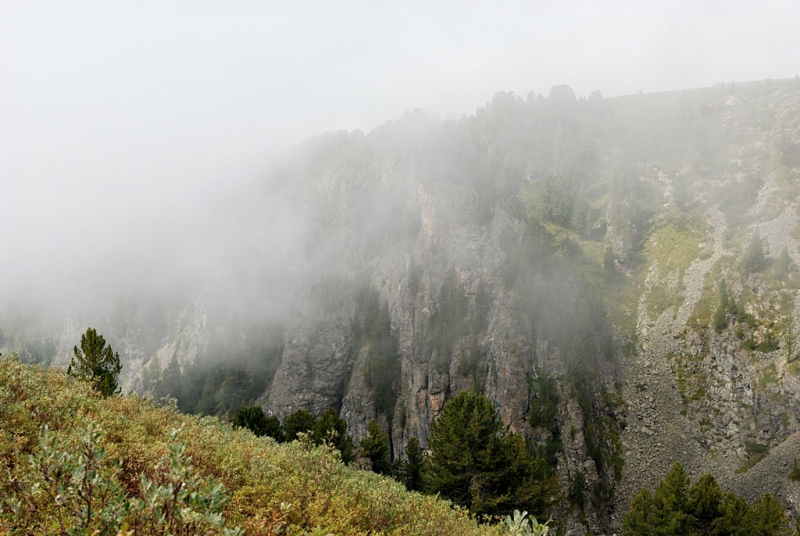 Конный поход по Горному Алтаю 2017 г