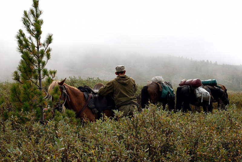 Конный поход по Горному Алтаю 2017 г