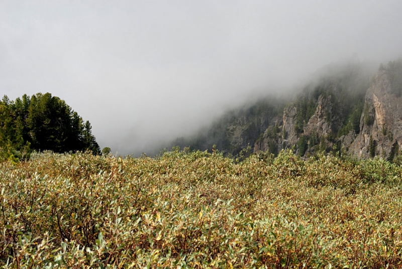 Конный поход по Горному Алтаю 2017 г