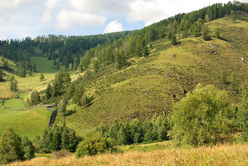 Конный поход по Горному Алтаю 2017 г