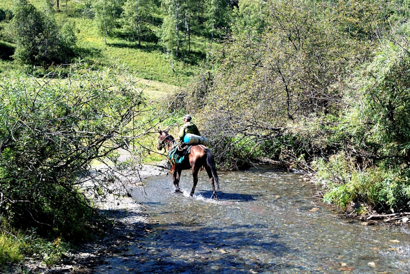 Конный поход по Горному Алтаю 2017 г