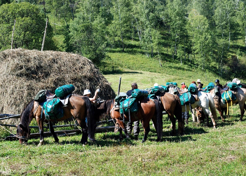 Конный поход по Горному Алтаю 2017 г