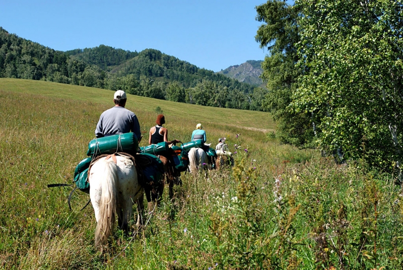 Конный поход по Горному Алтаю 2017 г