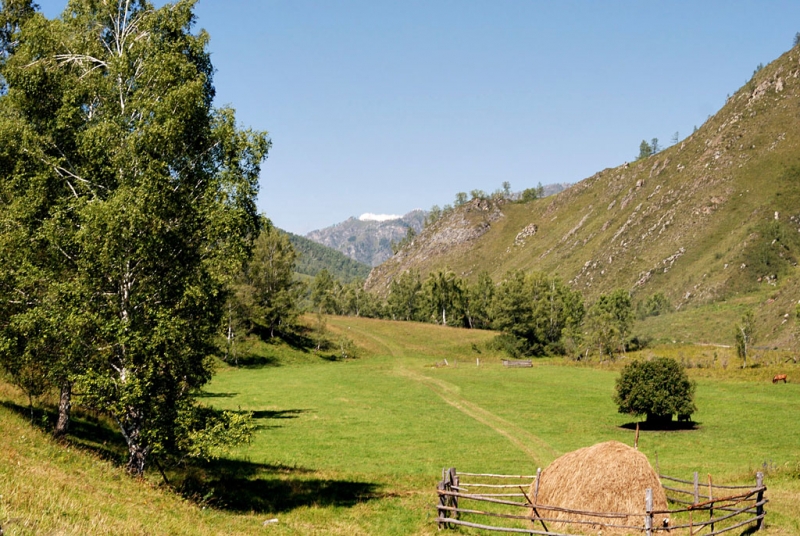 Конный поход по Горному Алтаю 2017 г