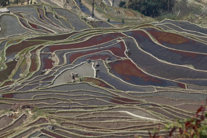 Рисовые террасы Юаньян (фототчёт)