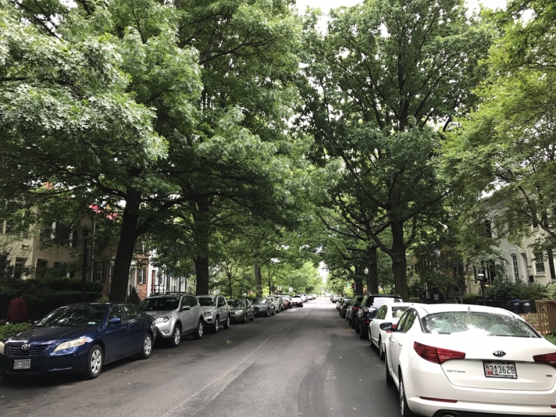 Большие города . Запад и Восток США