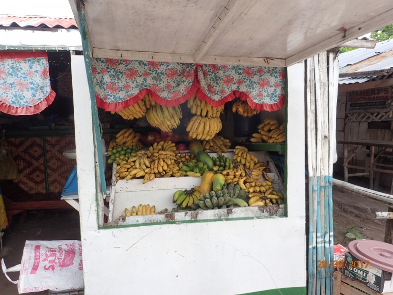 Ignota fere clarissimi aut quomodo in paradisum intellegere Philippinarum