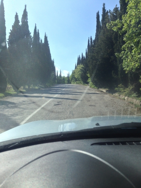 Аренда авто в Крыму. Прокат машины в Симферополе