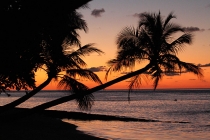 Мальдивы. Vilamendhoo. Октябрь 2011.