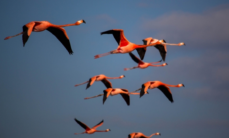 Куба 2018. Остров никому ненужной свободы (много фото)