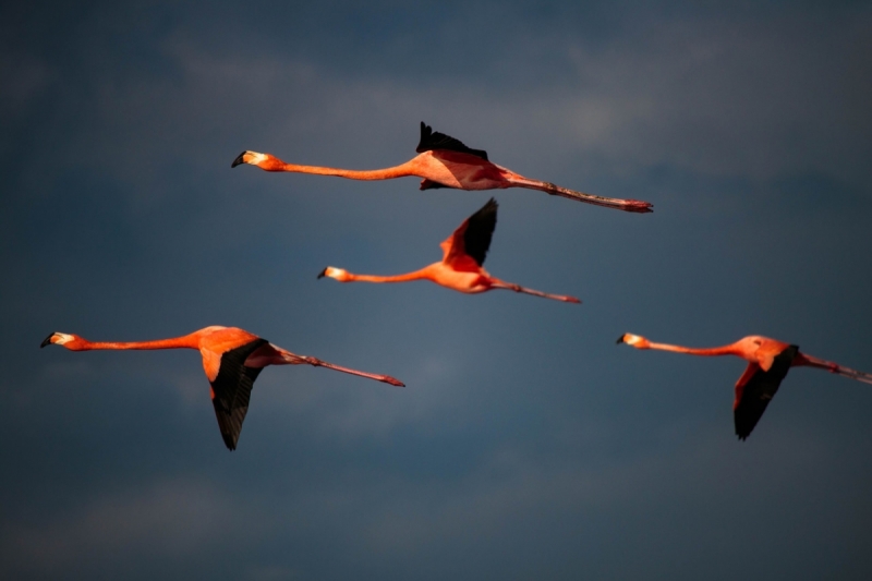 Куба 2018. Остров никому ненужной свободы (много фото)