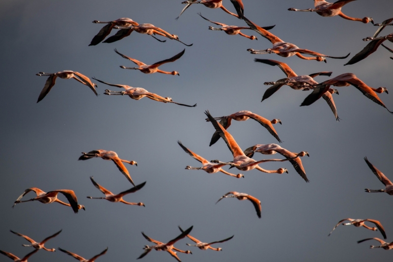 Куба 2018. Остров никому ненужной свободы (много фото)