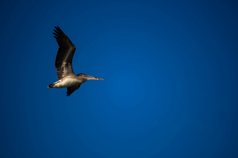 Куба 2018. Остров никому ненужной свободы (много фото)